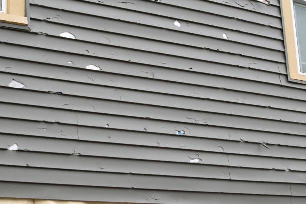 Best Siding for New Construction  in Fort Lauderdale, FL